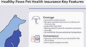 "SafePaws: Nurturing Trust and Security in Pet Insurance"