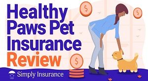 Healthy Paws Pet Insurance offers comprehensive coverage for dogs
